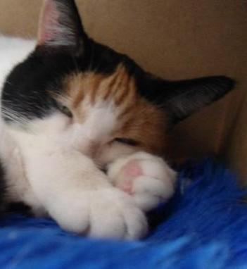 erna63 uploaded   1 year/s ago