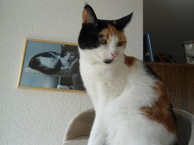 erna63 uploaded   1 year/s ago