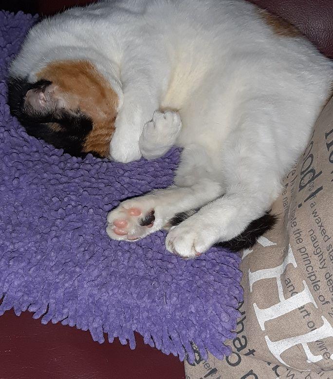 erna63 uploaded   1 year/s ago