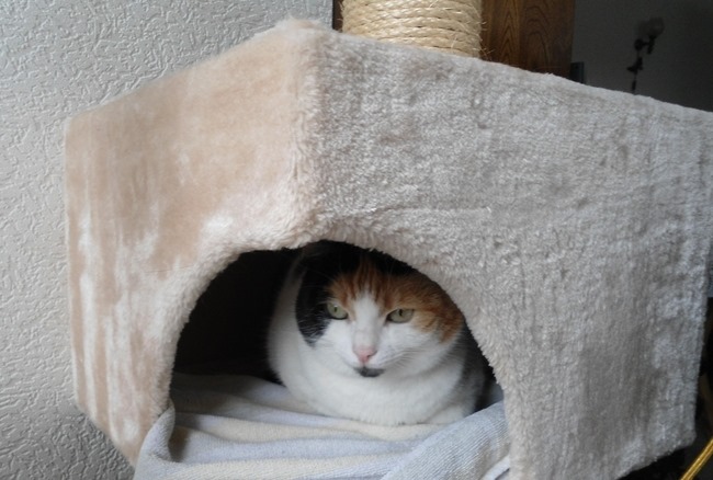 erna63 uploaded   1 year/s ago