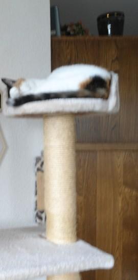 erna63 uploaded   1 year/s ago