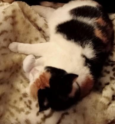 erna63 uploaded   1 year/s ago