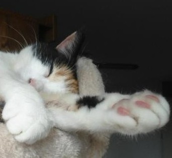 erna63 uploaded   1 year/s ago