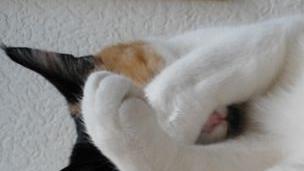 erna63 uploaded   1 year/s ago