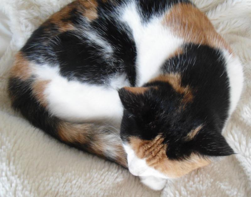 erna63 uploaded   1 year/s ago