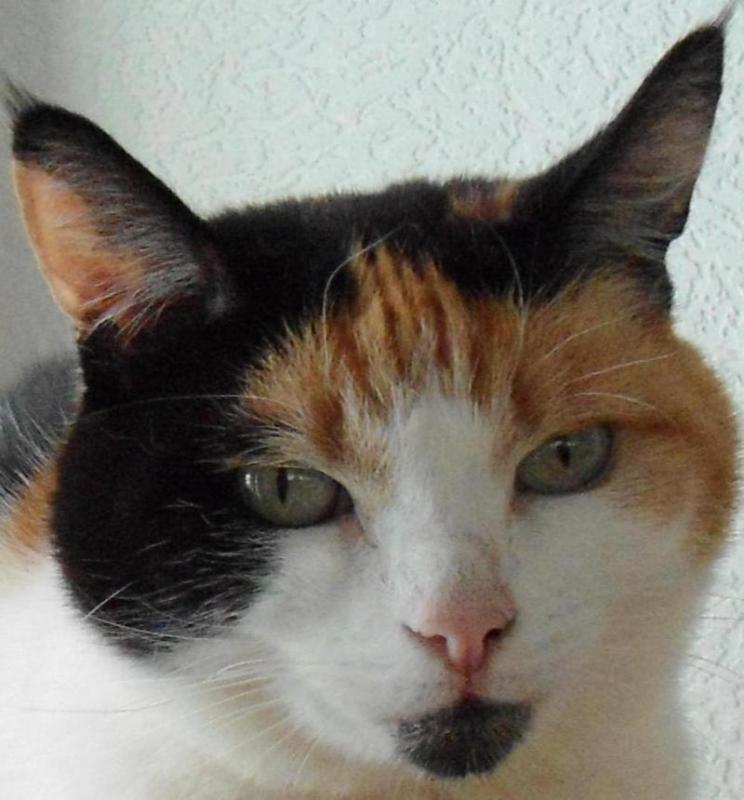 erna63 uploaded   1 year/s ago