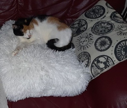 erna63 uploaded   1 year/s ago