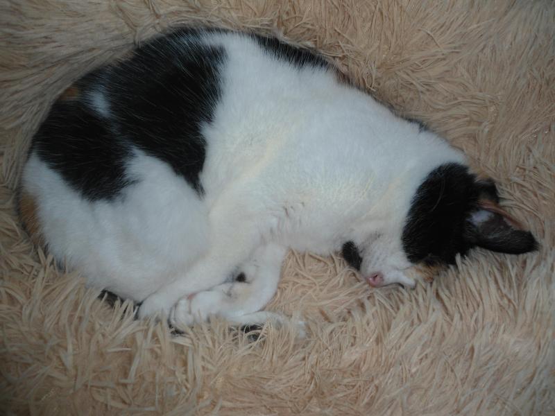 erna63 uploaded   1 year/s ago