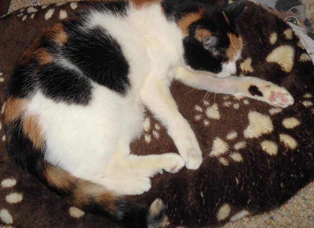 erna63 uploaded   1 year/s ago