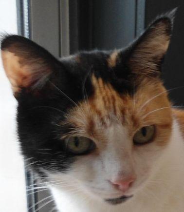 erna63 uploaded   1 year/s ago