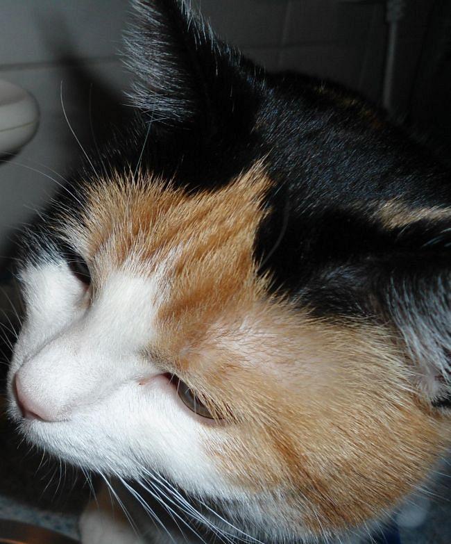 erna63 uploaded   1 year/s ago