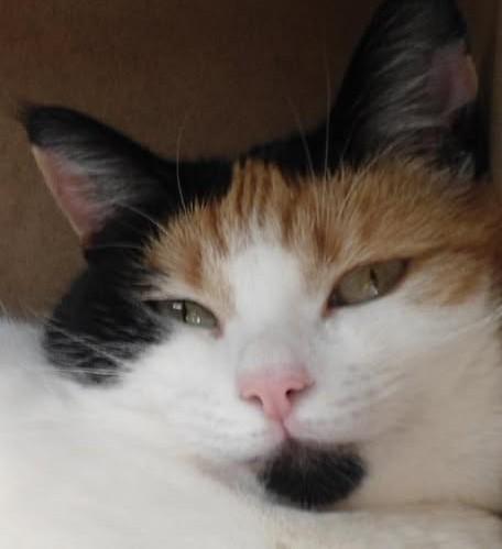 erna63 uploaded   1 year/s ago