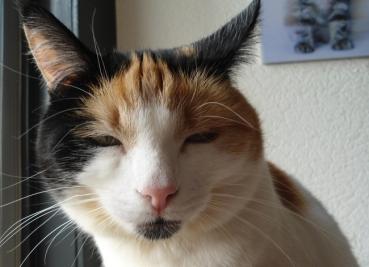 erna63 uploaded   1 year/s ago