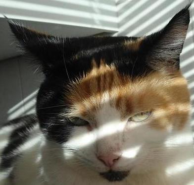 erna63 uploaded   1 year/s ago