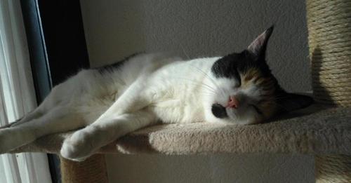 erna63 uploaded   1 year/s ago