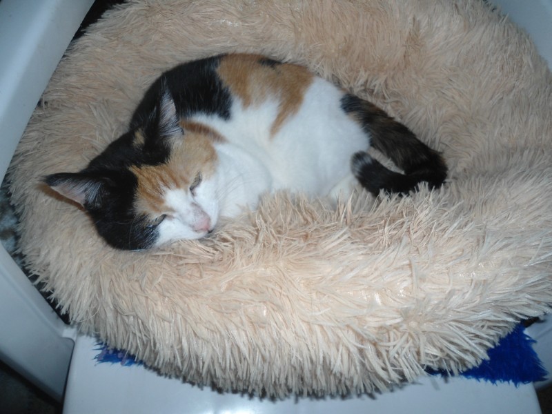 erna63 uploaded   1 year/s ago