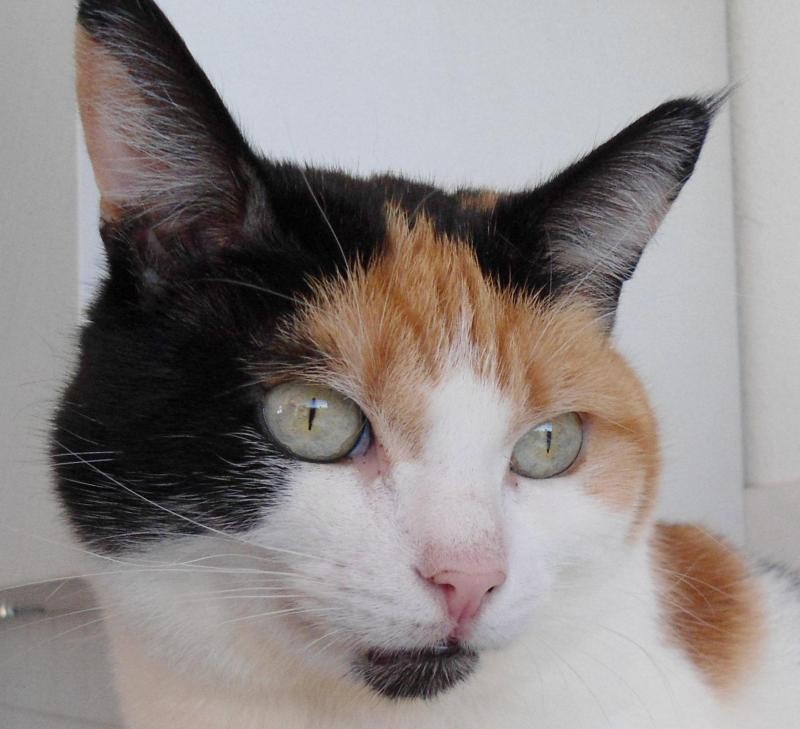 erna63 uploaded   1 year/s ago