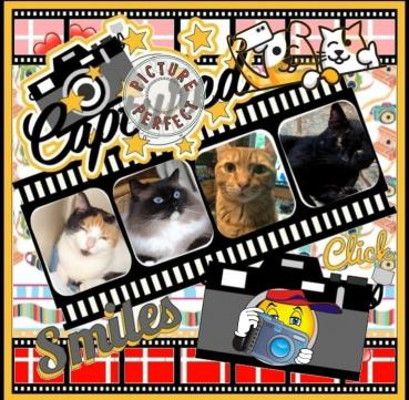 erna63 uploaded   1 year/s ago