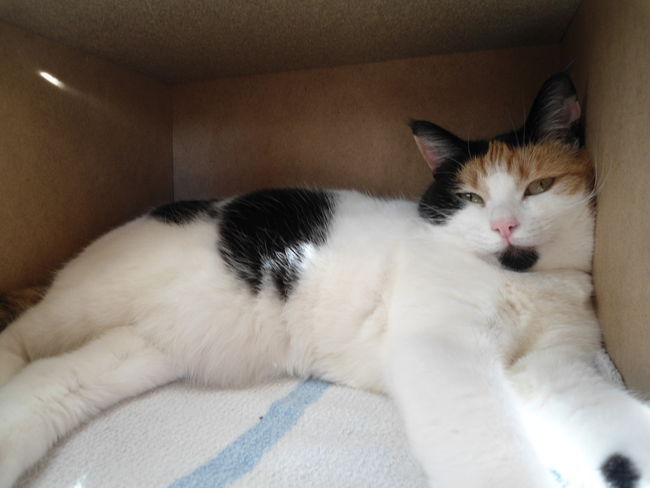 erna63 uploaded   11 year/s ago