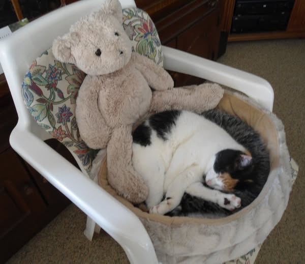 erna63 uploaded   1 year/s ago