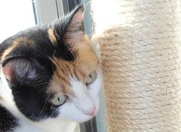 erna63 uploaded   1 year/s ago