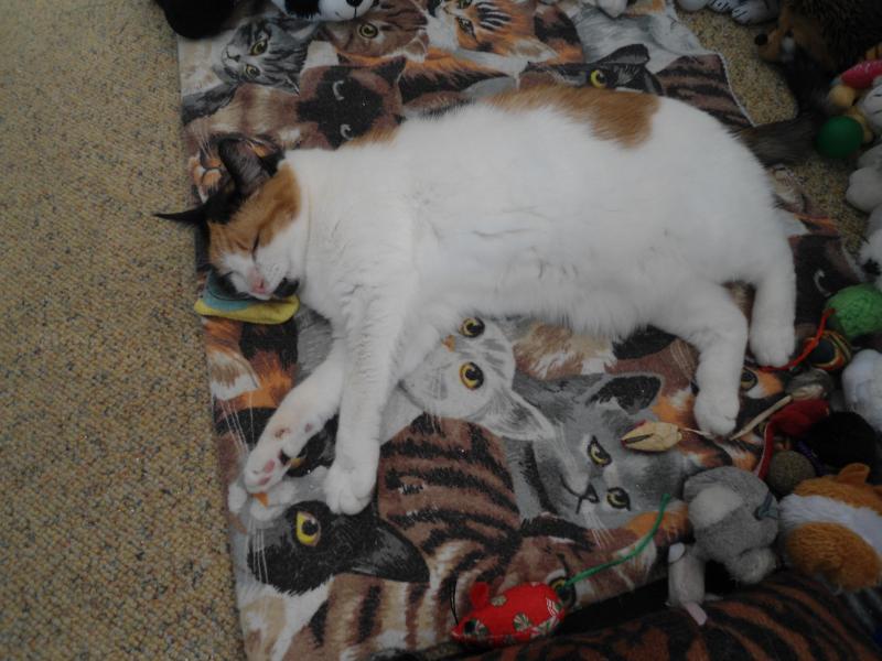 erna63 uploaded   1 year/s ago