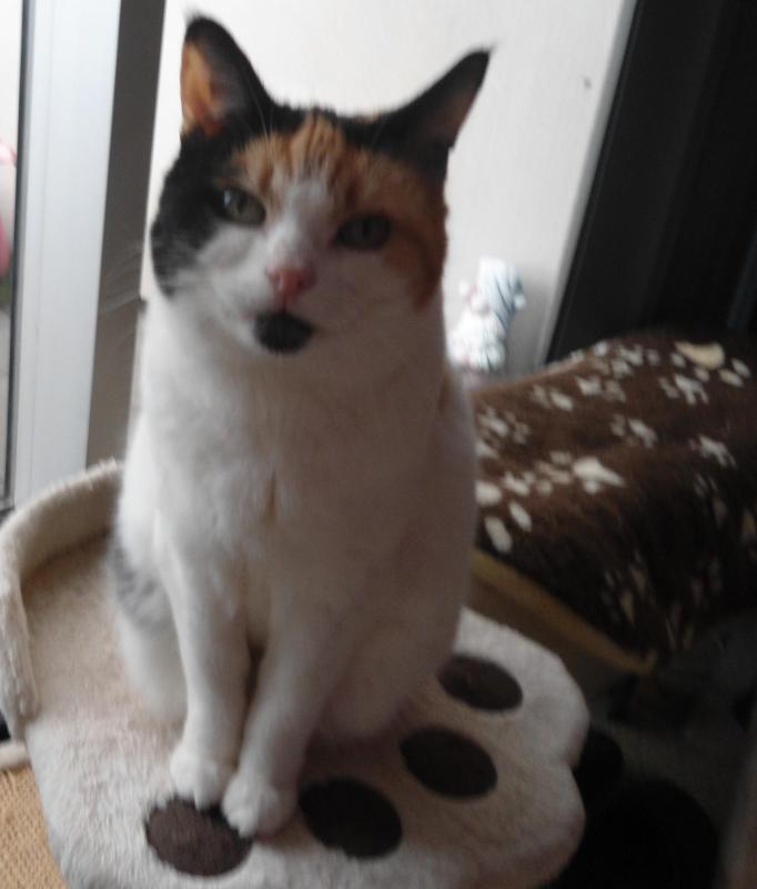 erna63 uploaded   1 year/s ago