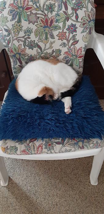 erna63 uploaded   1 year/s ago