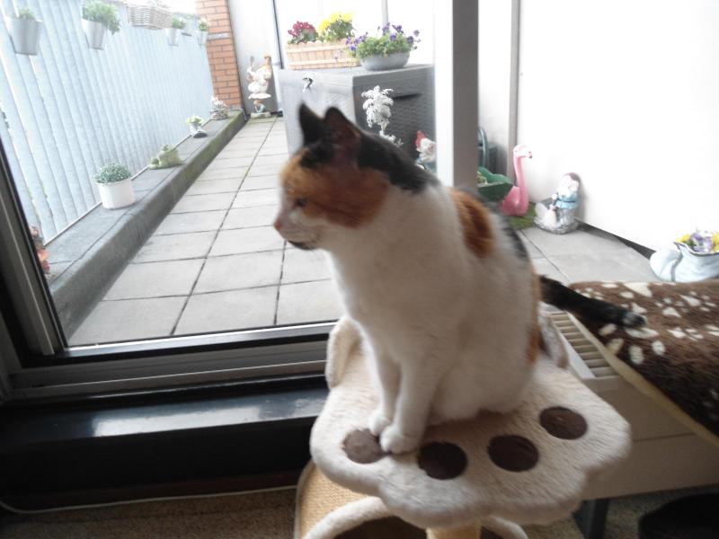 erna63 uploaded   1 year/s ago