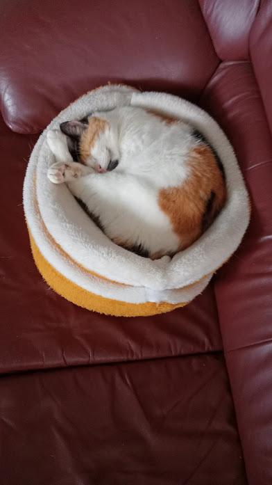 erna63 uploaded   1 year/s ago