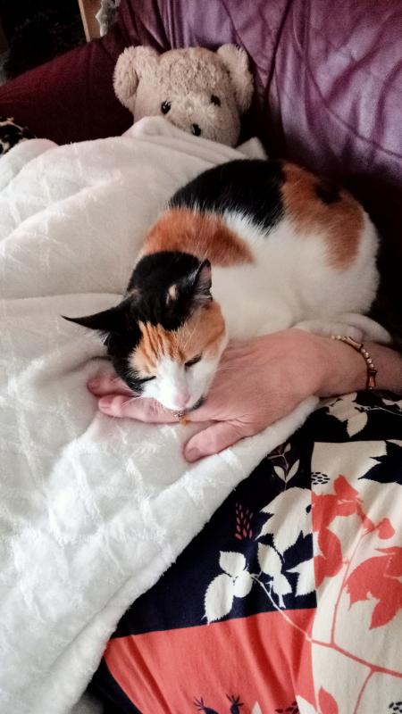 erna63 uploaded   1 year/s ago