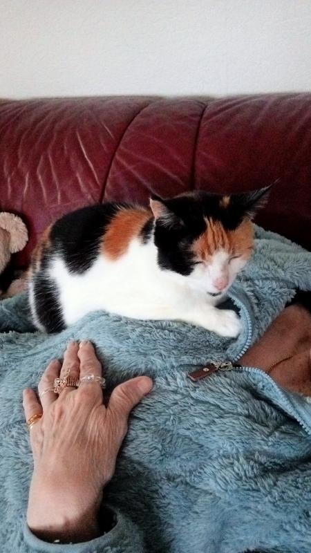 erna63 uploaded   1 year/s ago