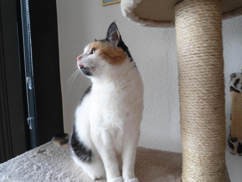 erna63 uploaded   1 year/s ago