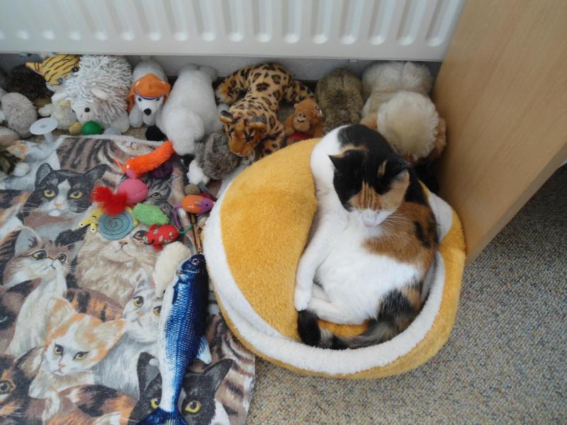 erna63 uploaded   1 year/s ago