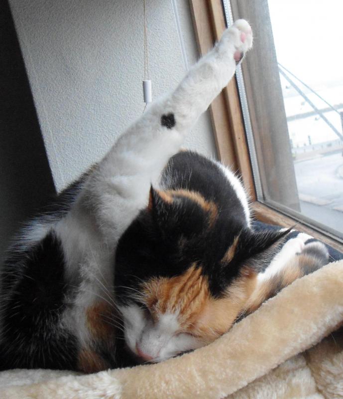 erna63 uploaded   1 year/s ago