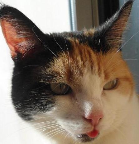 erna63 uploaded   1 year/s ago