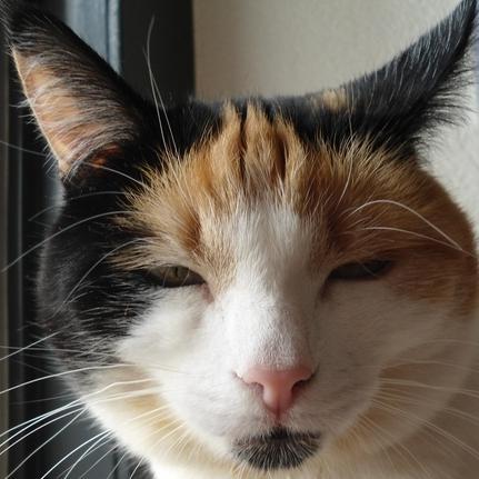 erna63 uploaded   1 year/s ago