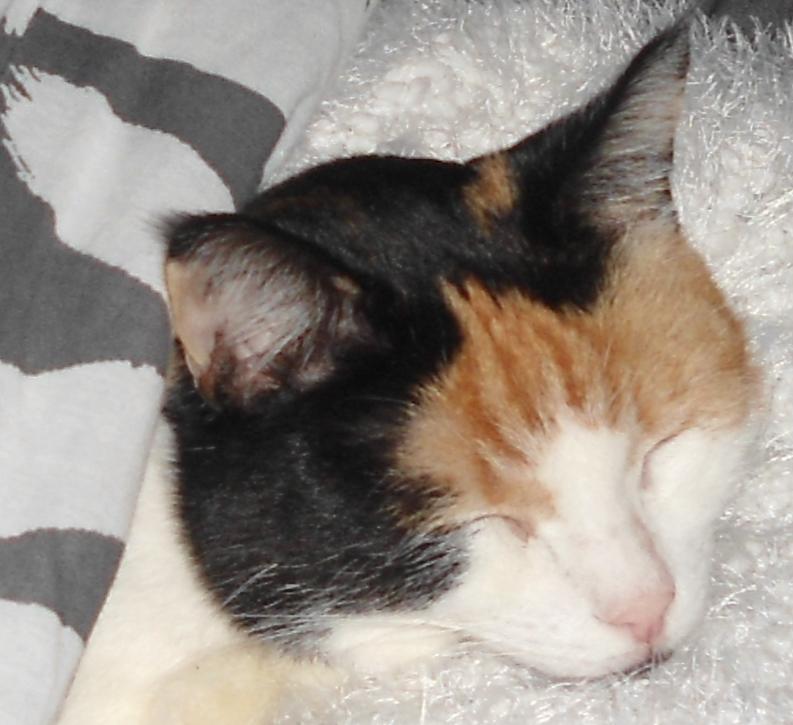 erna63 uploaded   1 year/s ago