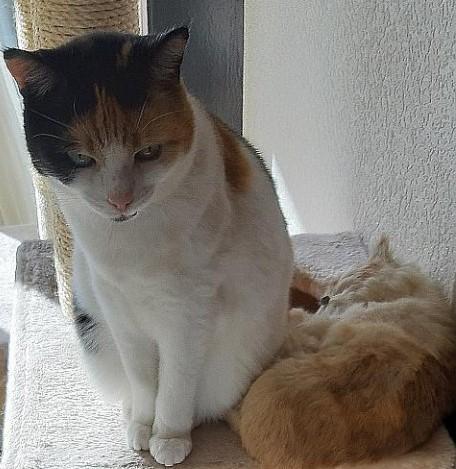 erna63 uploaded   1 year/s ago