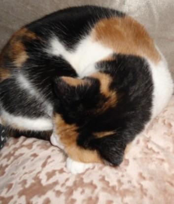 erna63 uploaded   1 year/s ago