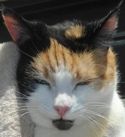 erna63 uploaded   1 year/s ago