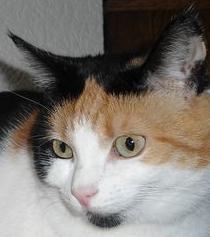 erna63 uploaded   1 year/s ago