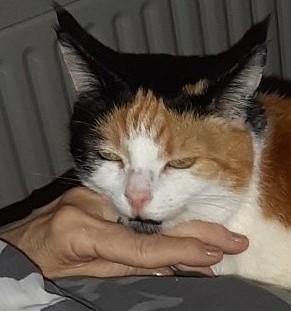 erna63 uploaded   1 year/s ago