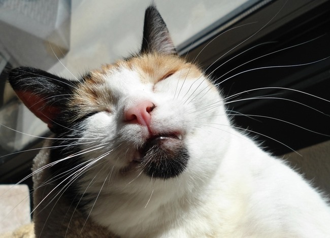 erna63 uploaded   1 year/s ago