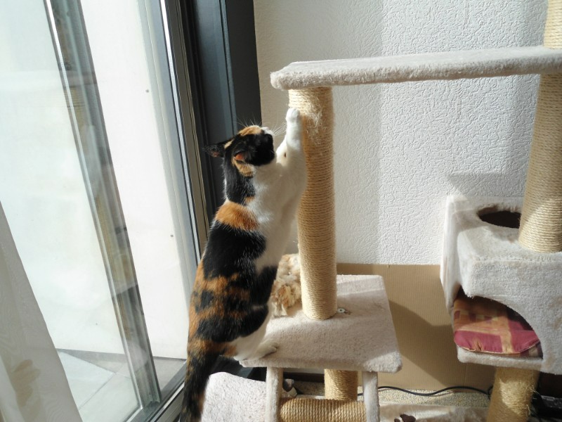 erna63 uploaded   329  day/s  ago