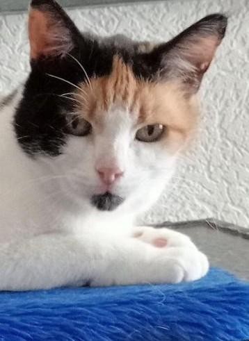 erna63 uploaded   1 year/s ago