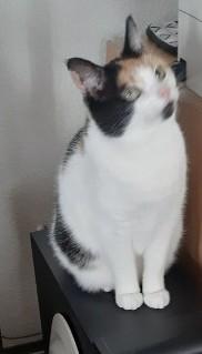 erna63 uploaded   1 year/s ago