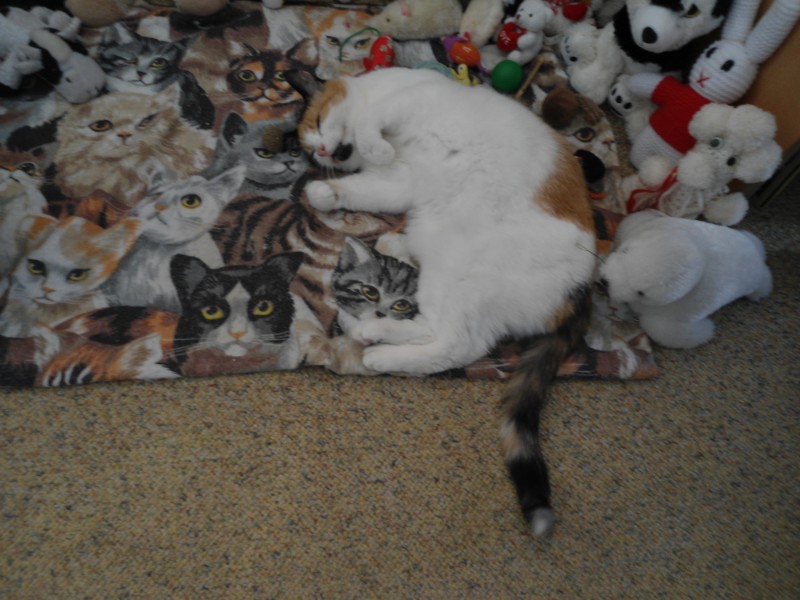 erna63 uploaded   1 year/s ago