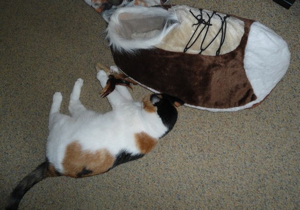 erna63 uploaded   1 year/s ago