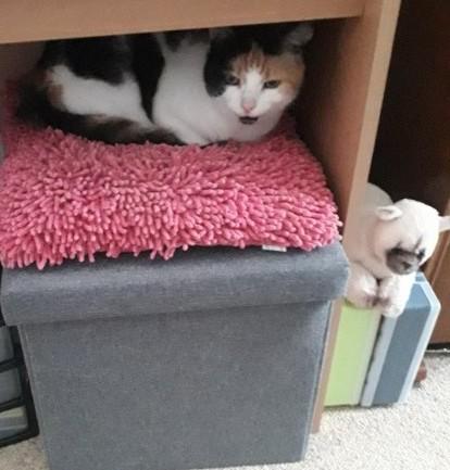 erna63 uploaded   1 year/s ago